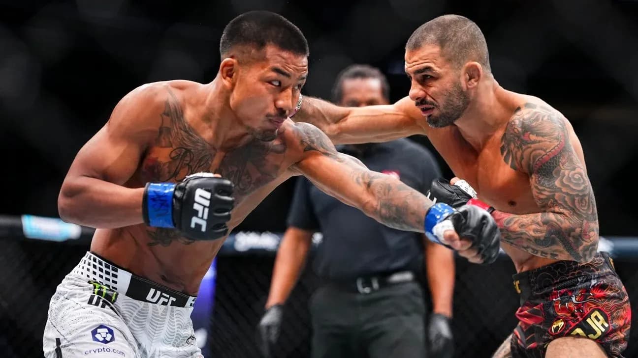 Deux combattants s'affrontant dans l'octogone UFC