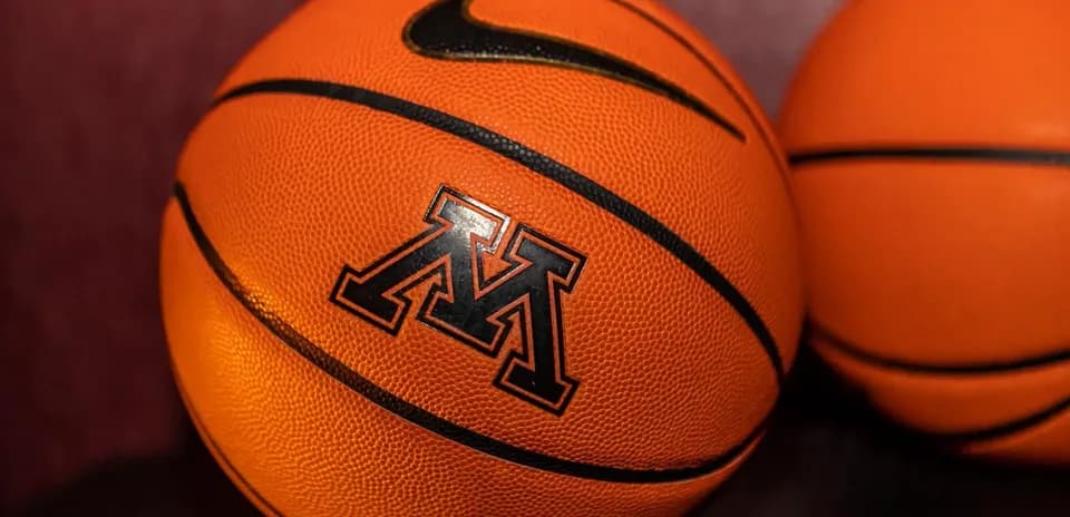 Deux ballons de basket orange avec logo