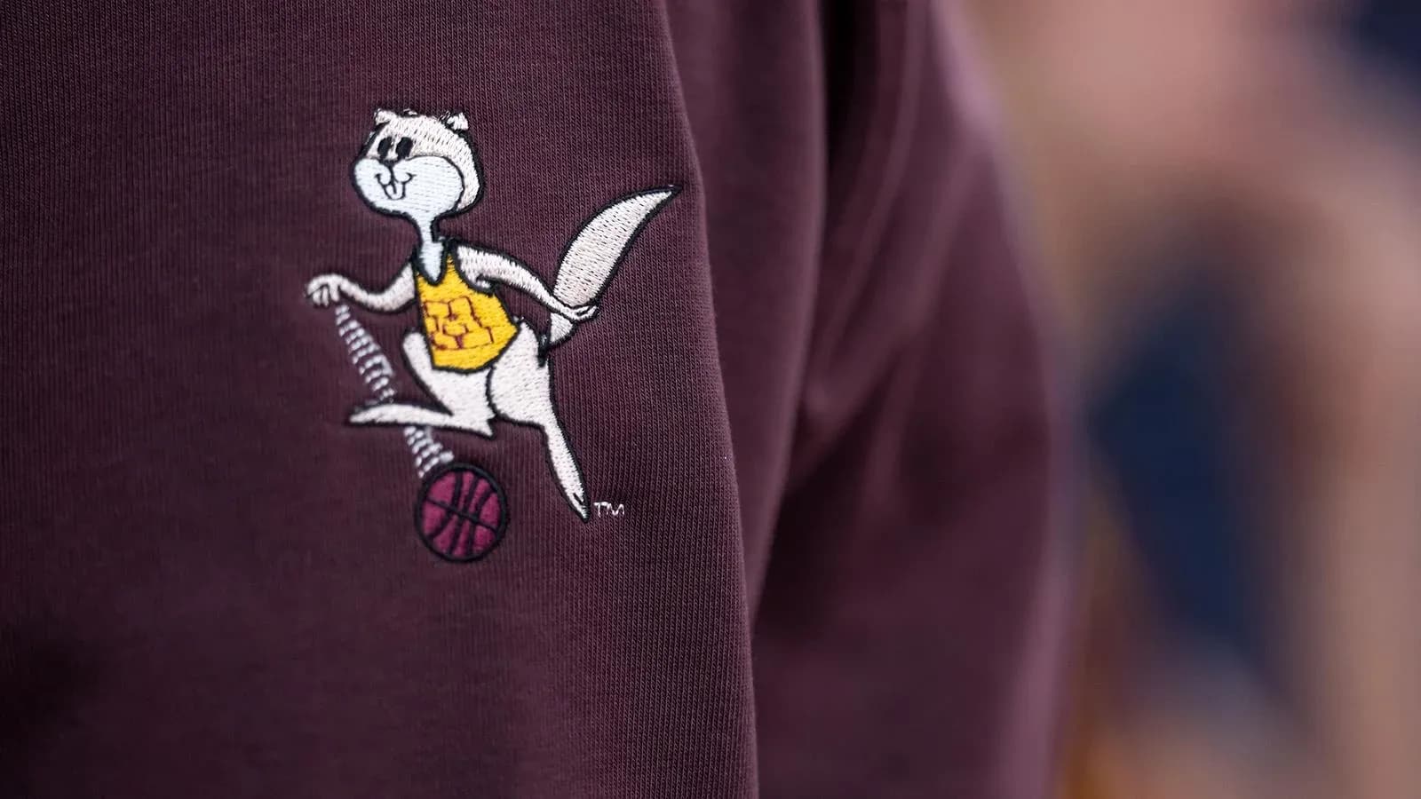 Mascotte en broderie avec un ballon de basket