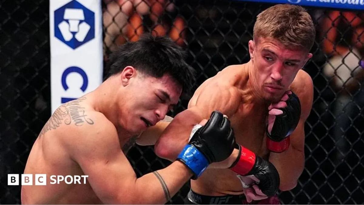 Deux combattants en plein match de MMA