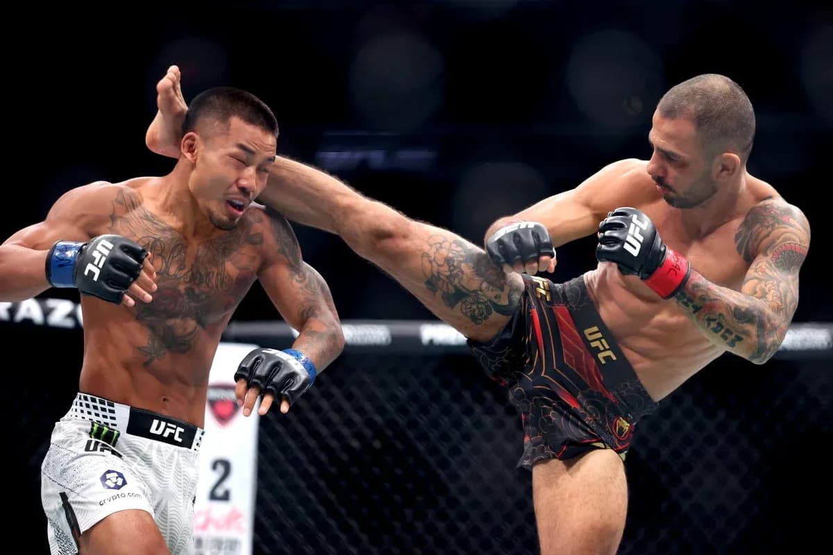 Deux combattants d'UFC en plein échange de coups