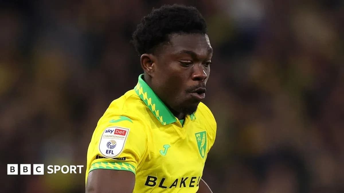 Joueur de Norwich City en action sur le terrain