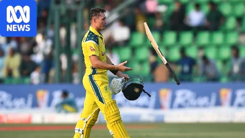 Joueur de cricket lançant sa batte après avoir été éliminé