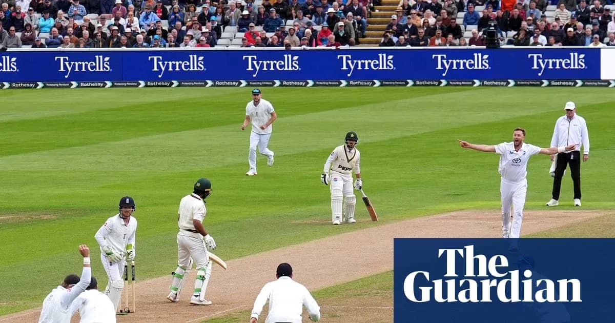 Joueurs de cricket en action sur le terrain