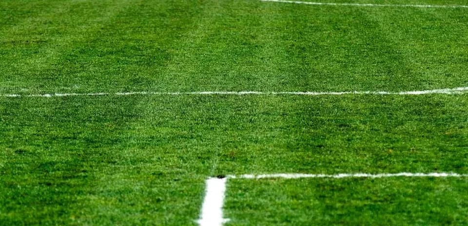 Surface de terrain de football avec lignes blanches