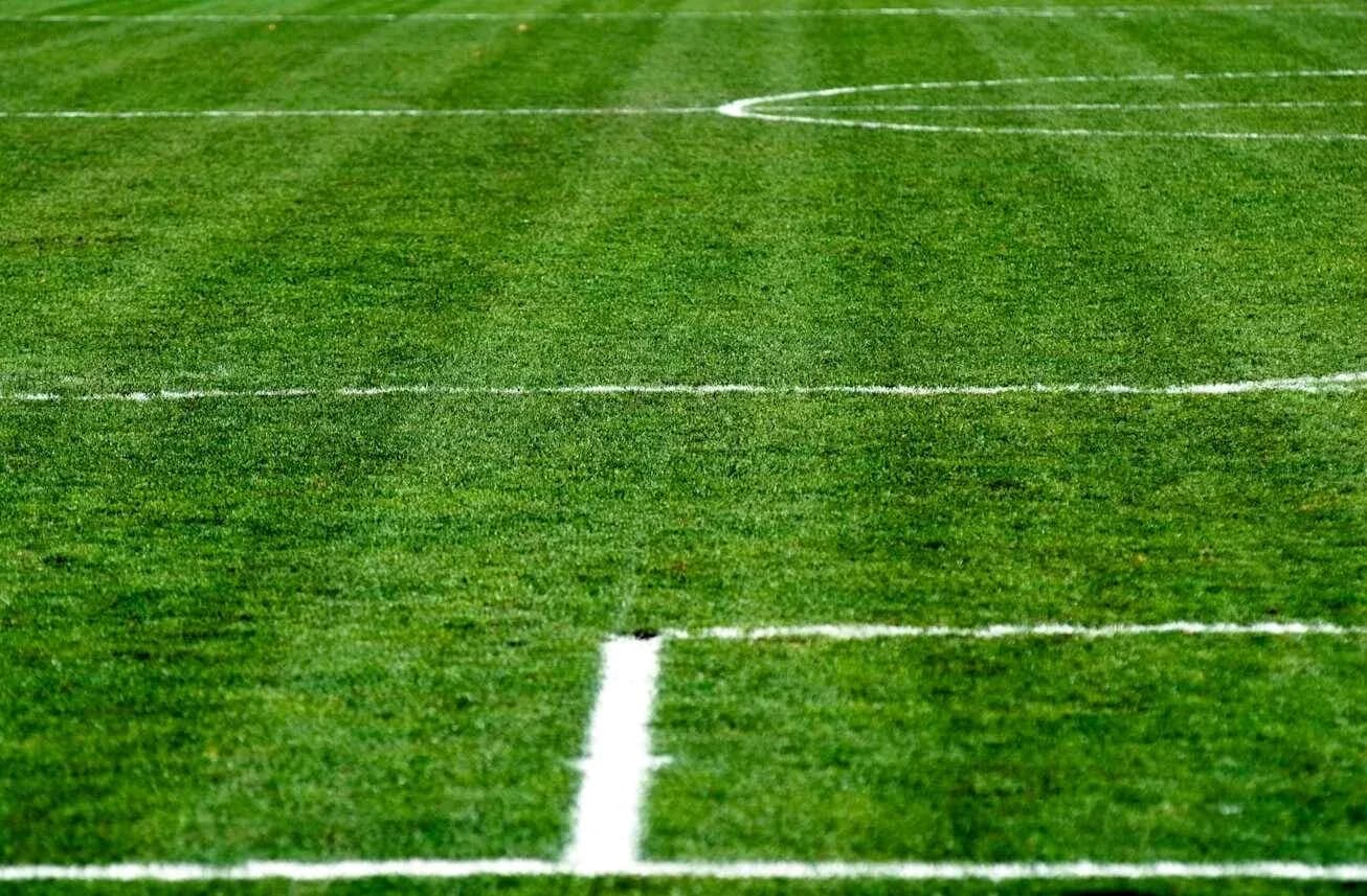 Surface de terrain de football avec lignes blanches