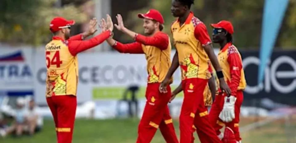 Joueurs célébrant un wicket lors d'un match de cricket