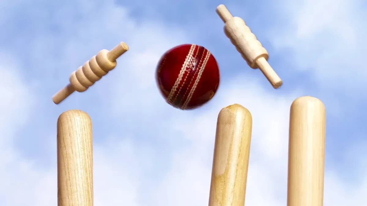 Balle de cricket frappant les wickets en bois