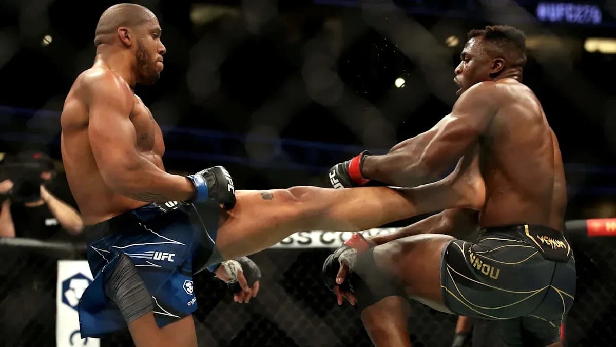 Deux combattants en action lors d'un combat de MMA Deux combattants en action lors d'un combat de MMA