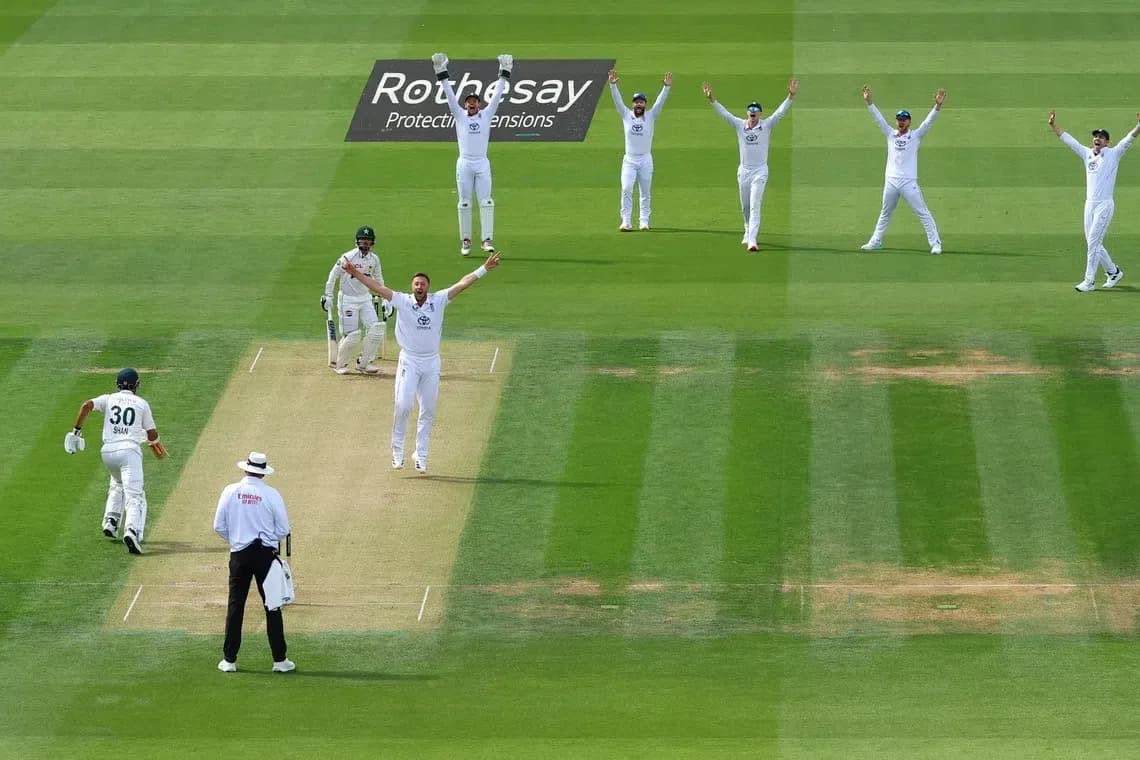 Joueurs célébrant une prise en cricket sur le terrain Joueurs célébrant une prise en cricket sur le terrain